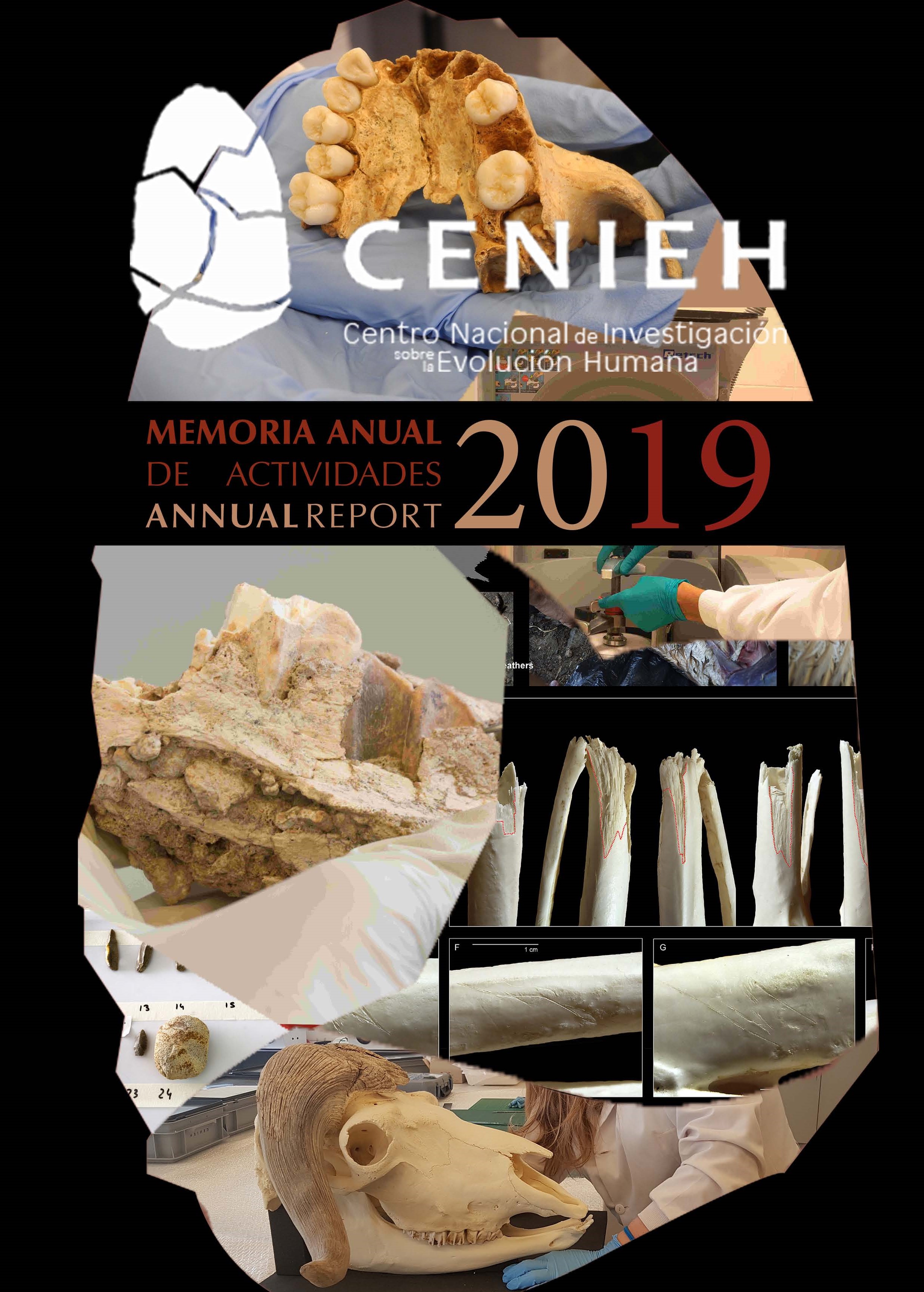 Portada de Memoria 2019