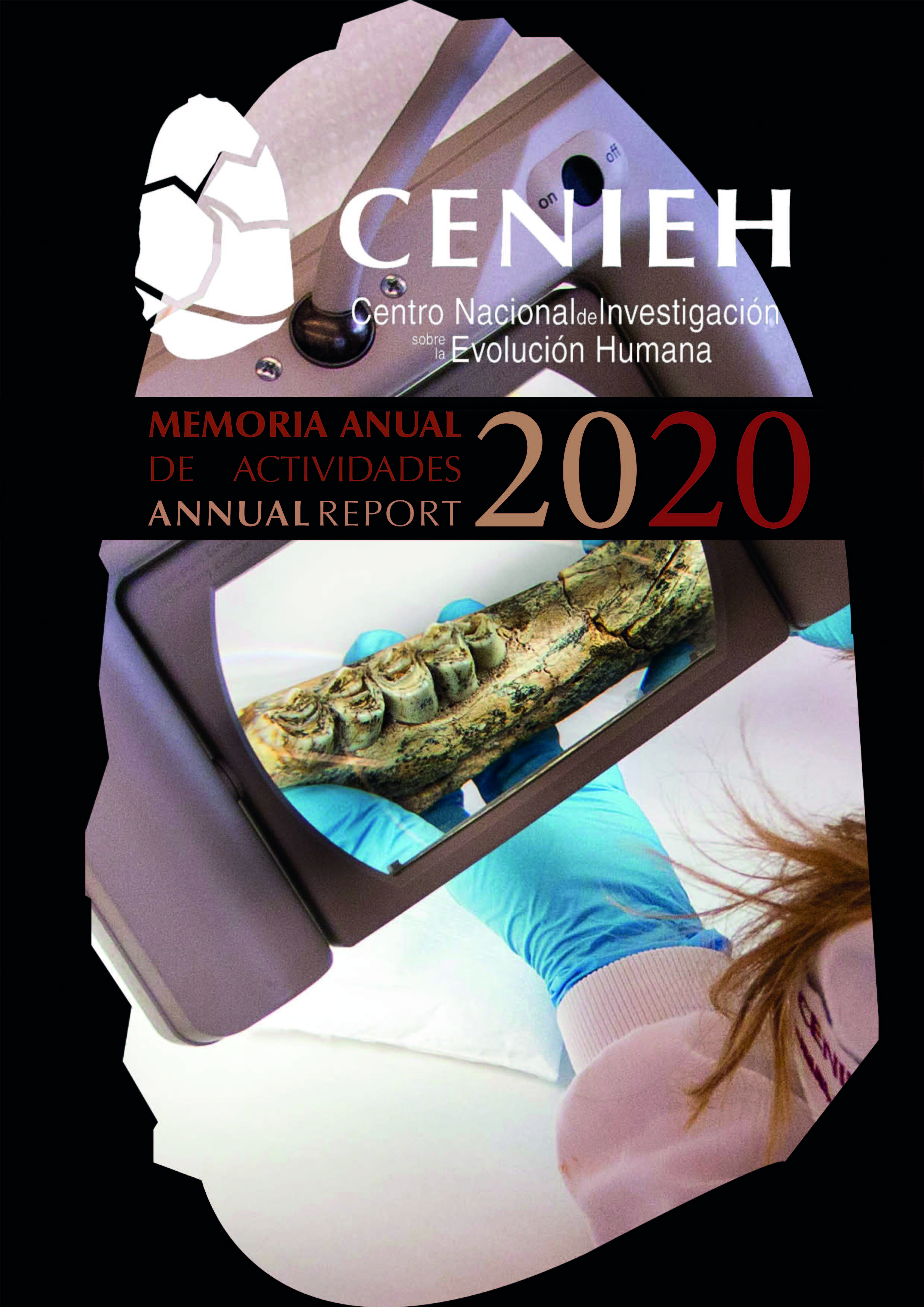 Portada de Memoria 2020