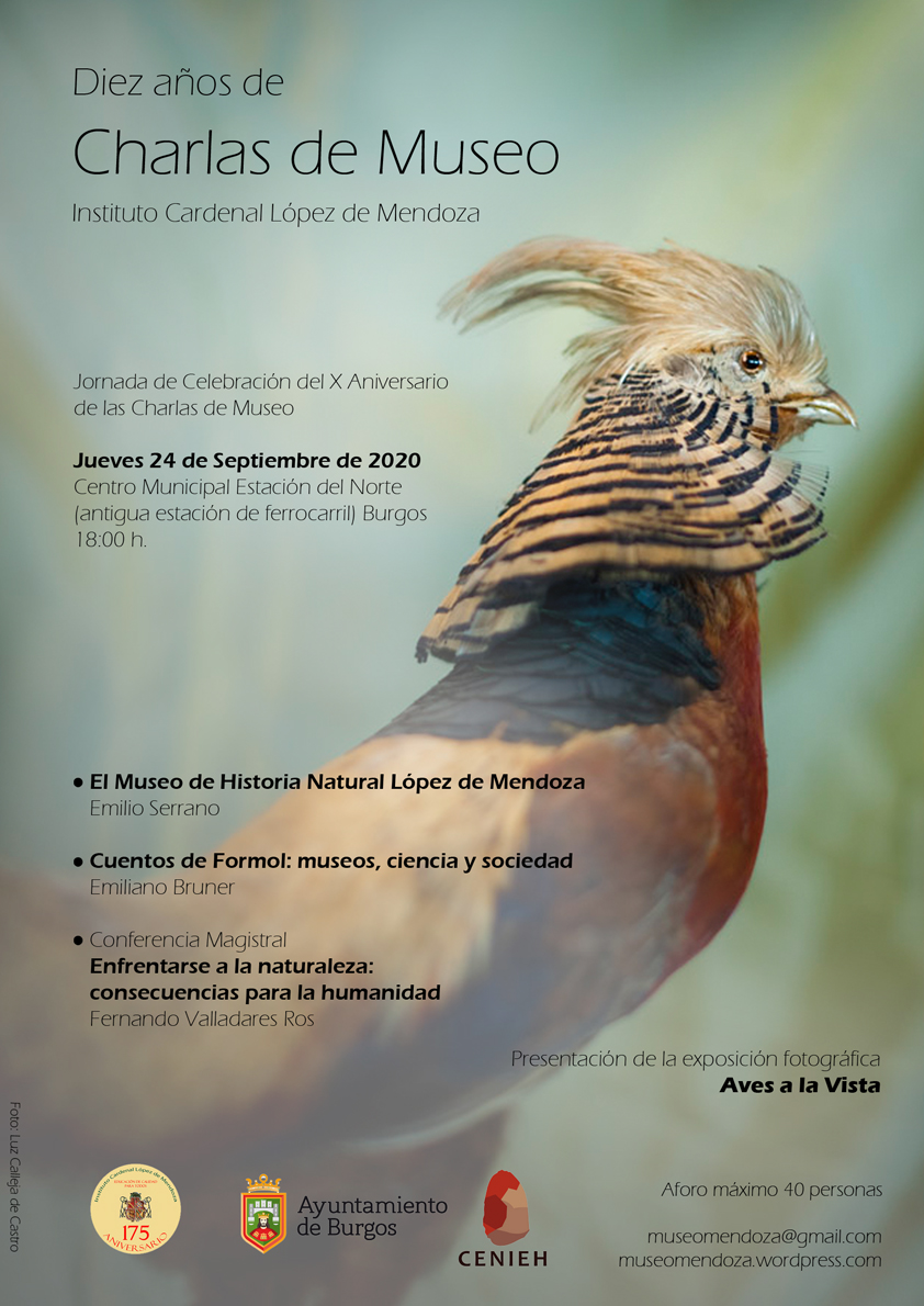 X Aniversario de las Charlas de Museo