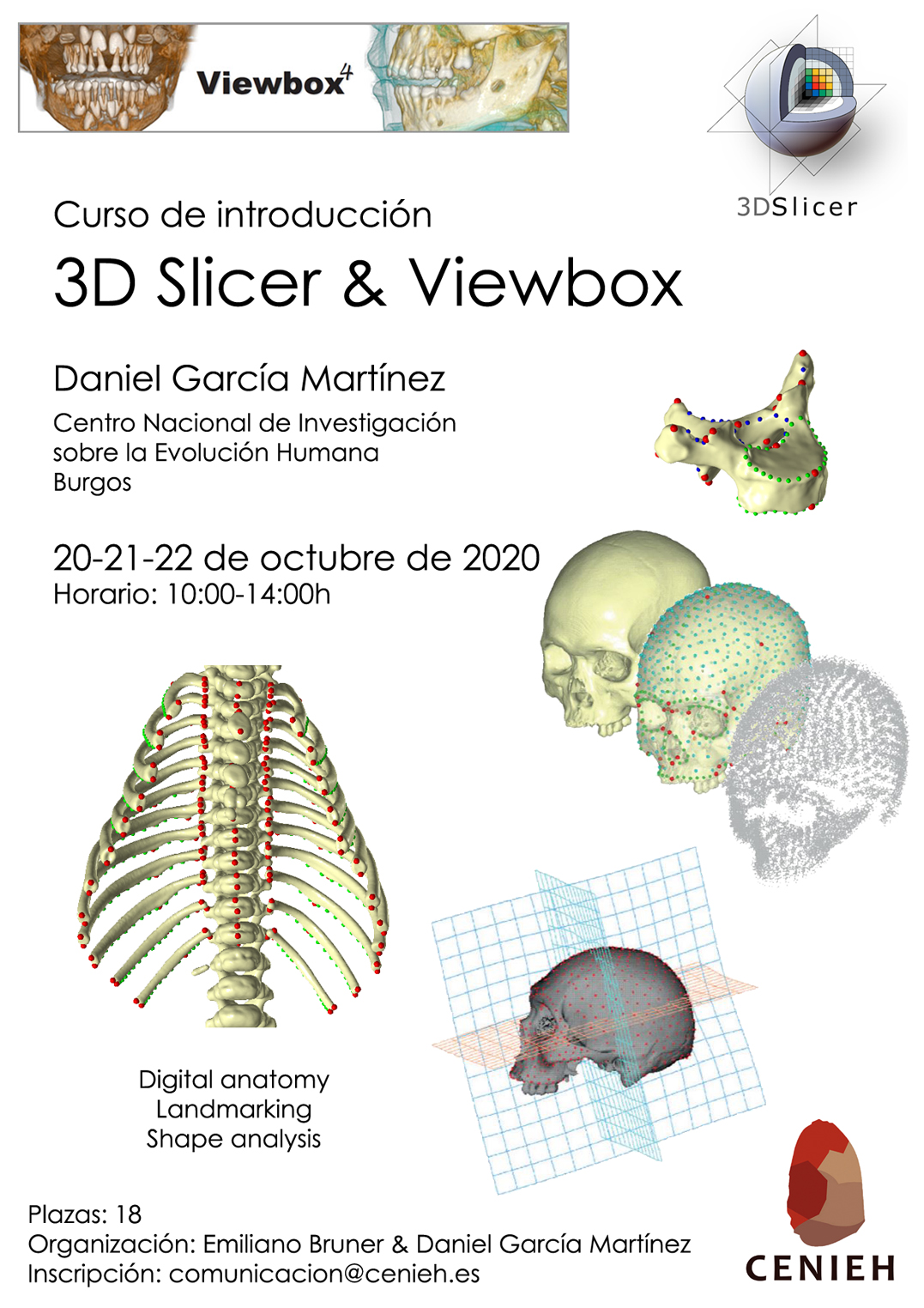Cartel del Curso de 3D Slicer y Viewbox - 20 October