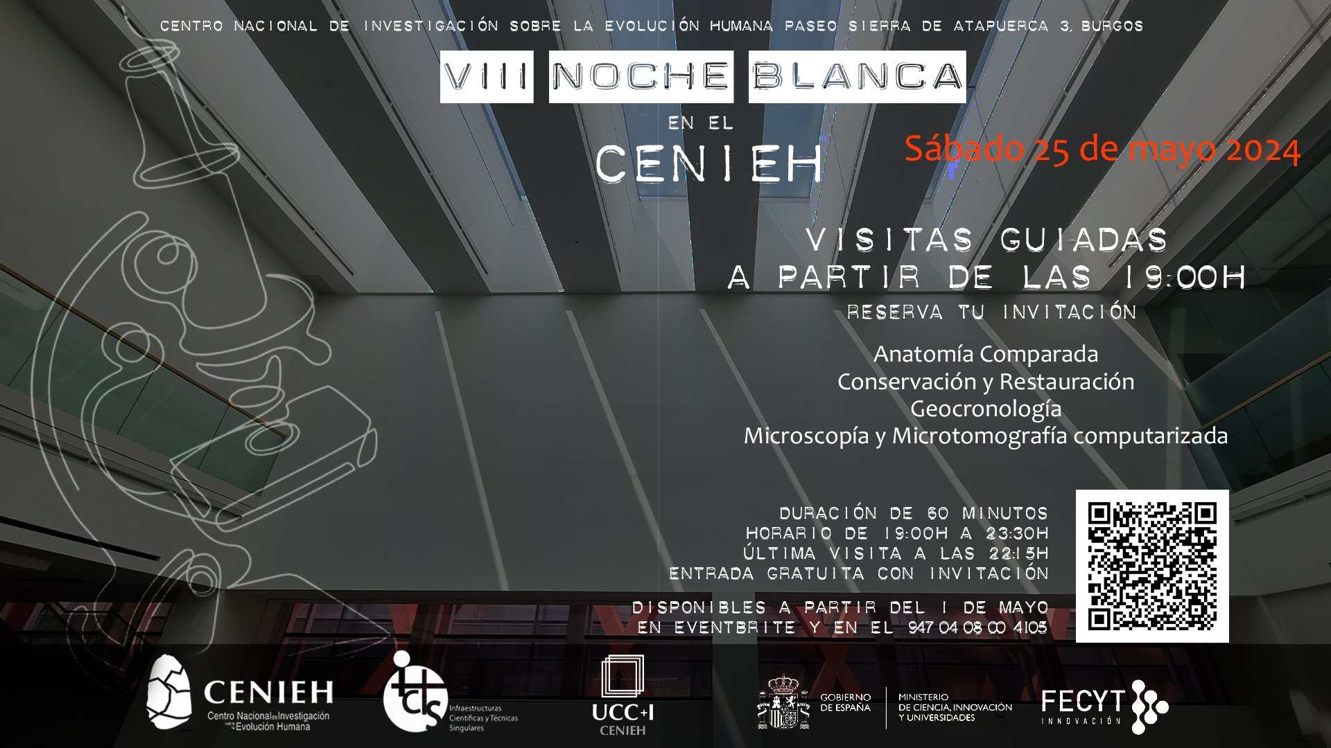 Noche Blanca