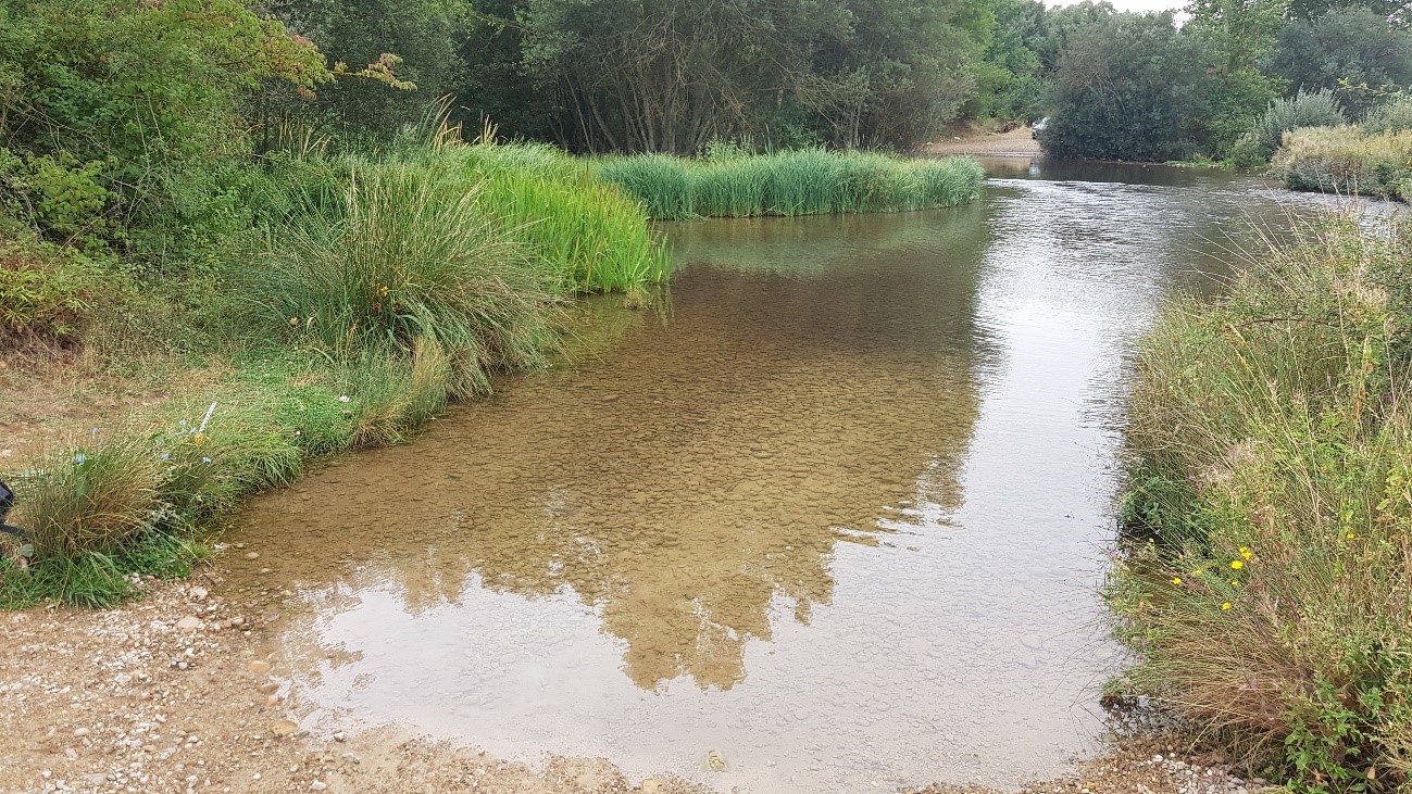Uno de los puntos de muestreo en el cauce del río Arlanzón/Alfonso Benito Calvo.