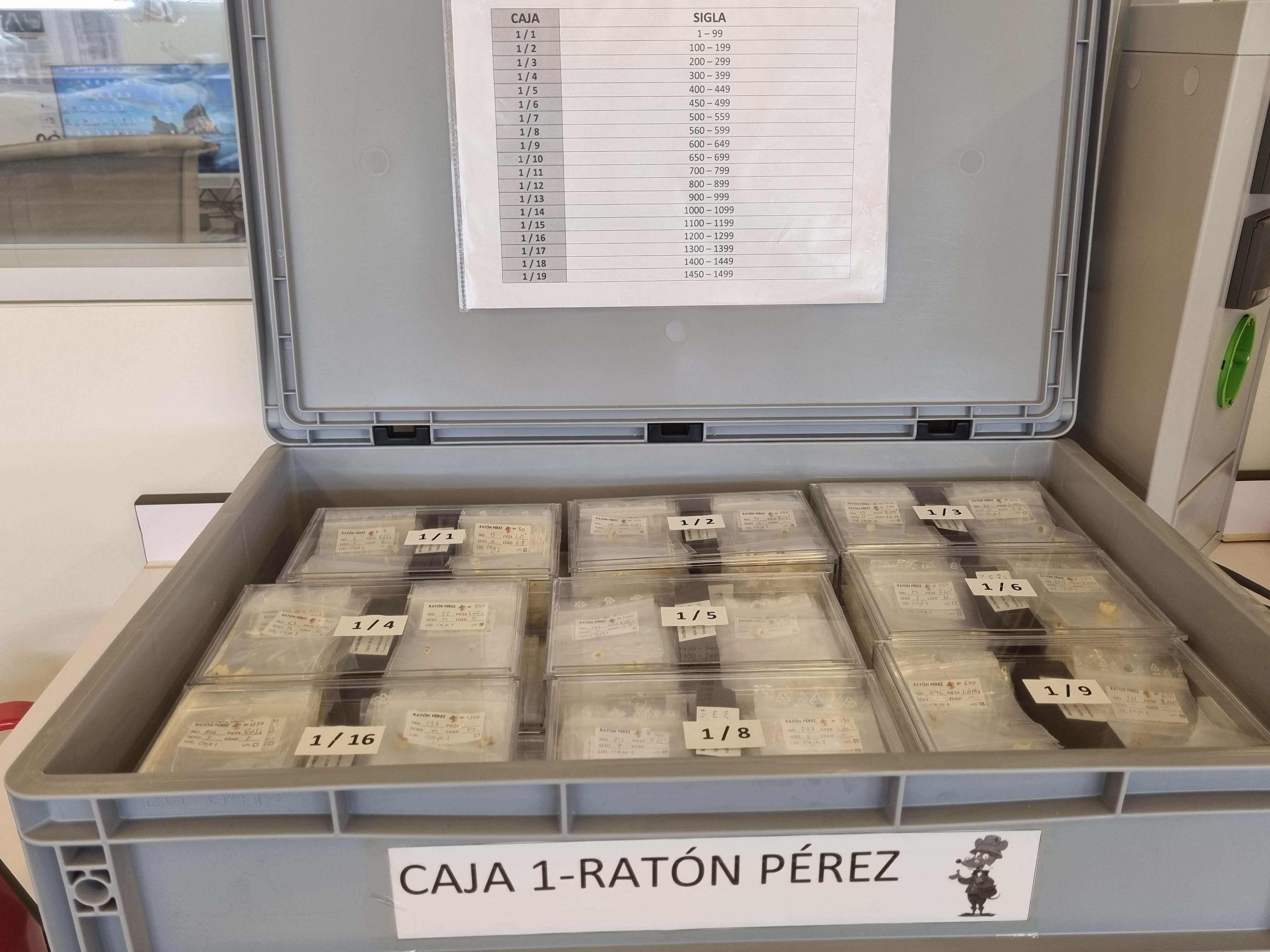 Primera caja de la recogida de dientes del proyecto