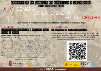Cartel
