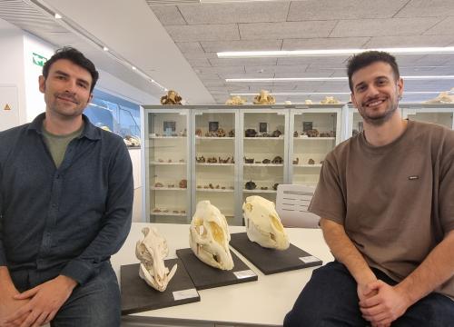 Ignacio A. Lazagabaster y Fernando Blanco en el Laboratorio de Anatomía comparada del CENIEH/UCC+I CENIEH