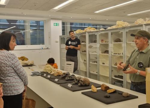 Noche Blanca en el CENIEH_Lab. Anatomía Comparada/UCC+I