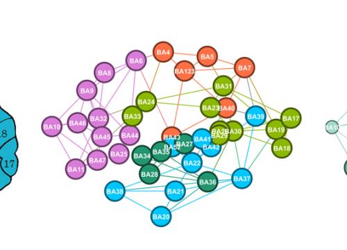 Áreas de Brodmann, principales módulos cerebrales según el modelo de redes propuesto y valores de proximidad de cada elemento/Emiliano Bruner