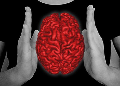 Body and mind/Emiliano Bruner