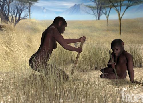 Hominids have been digging for tubers and other subway resources for millions of years/J. Rodríguez