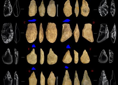 Examples of limestone Large Cutting Tools from Terra Amata /García-Medrano et al