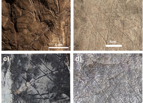 Comparación entre: (a) los supuestos grabados geométricos en la cueva de Rising Star sugeridos por Berger et al. en el complejo de paleocuevas de Drimolen (b-d) que ha creado patrones geométricos similares con rayas cruzadas que no son de origen antropogénico/M. Martinón-Torres et al