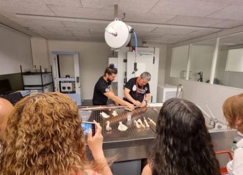 Laboratorio de Arqueología Experimental/CENIEH