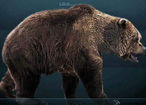 Reconstrucción del oso de las cavernas europeo (Ursus spelaeus)/Sergiodlarosa