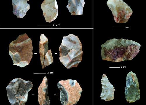 Teixoneres Cave could have been one of the last Neanderthal refuges in the Iberian Peninsula