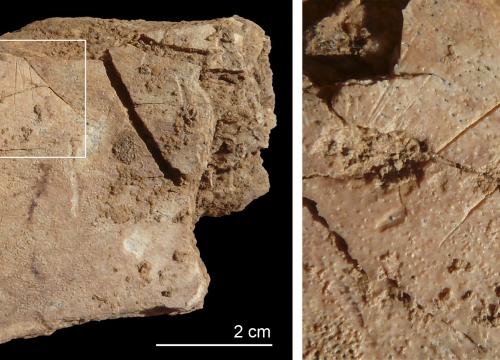 Teixoneres Cave could have been one of the last Neanderthal refuges in the Iberian Peninsula