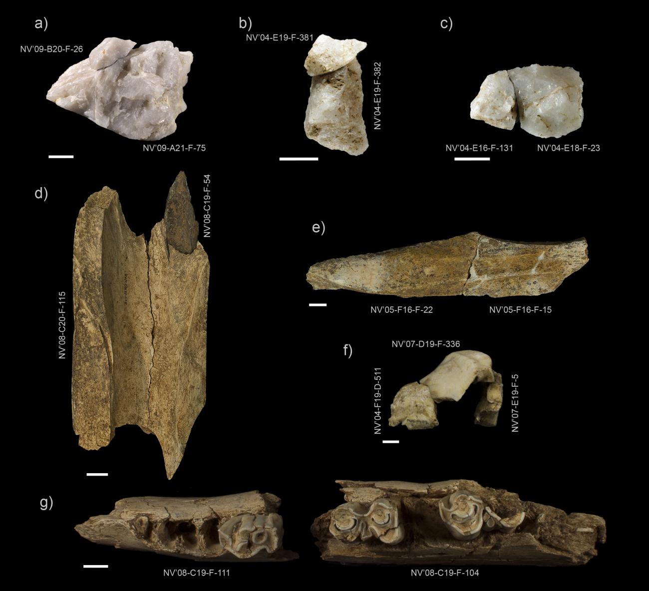 a-c Various lithic tool assemblages/ Mario Torquemada and d-g) traces of faunal remains/Abel Moclán