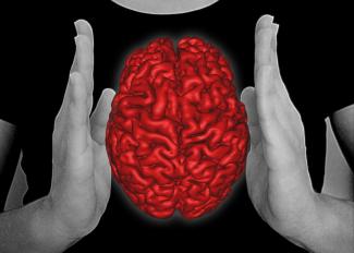 Body and mind/Emiliano Bruner Body and mind/Emiliano Bruner
