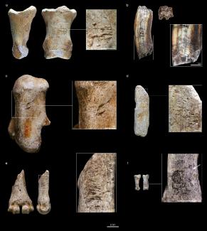 Herramientas sobre hueso y diente fabricadas por neandertales identificadas en el yacimiento francés. 