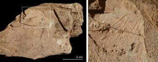 La Cova de Les Teixoneres pudo ser uno de los últimos refugios neandertales en la Península Ibérica
