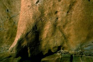 Hallados grabados rupestres paleolíticos en las cuevas vascas de Aitzbitarte