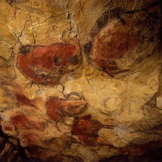 Techo de los Polícromos -
Museo de Altamira / Pedro Saura La datación por series de uranio confirma 20.000 años de arte rupestre en Altamira