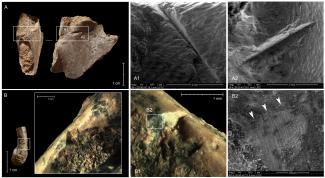 Las tortugas eran un alimento complementario en la dieta humana hace 400.000 años